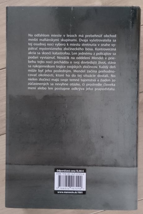 Kniha betónový hrad,