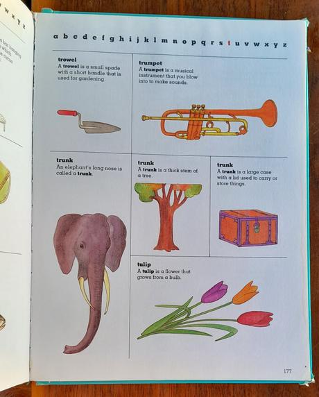 Childrens first dictionary,