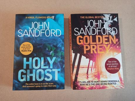 John sandford v anglictine xs24, 