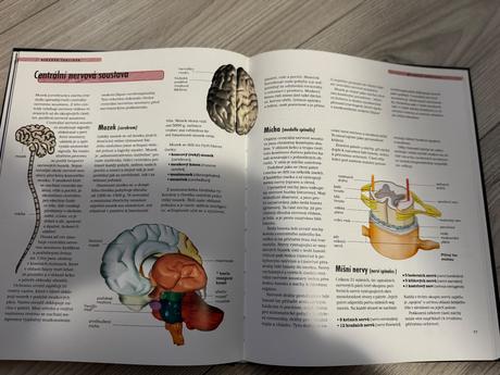 Kniha ľudské telo,
