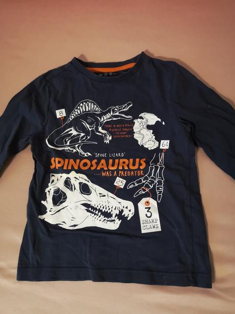 Pulóver dinosaury, f&f,104