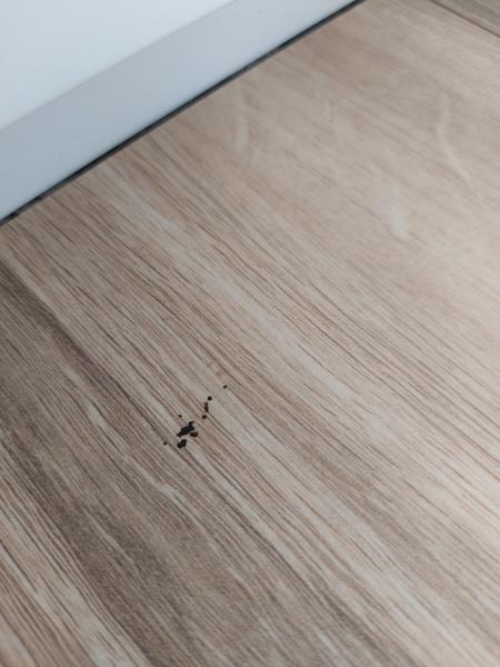 Čo to mám po dome?