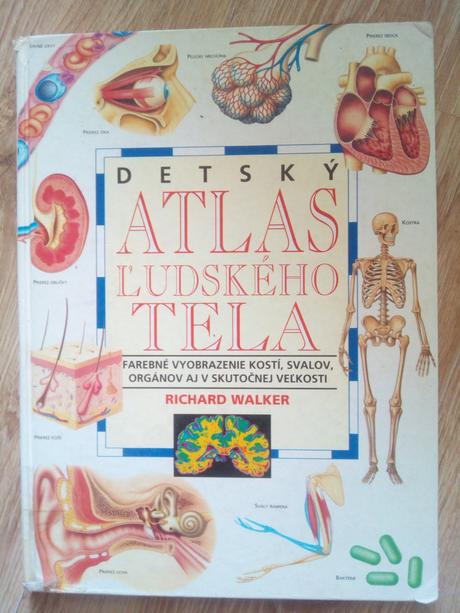 Detský atlas ľudského tela ô, 