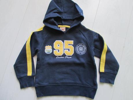 Mikina, cactus clone,104