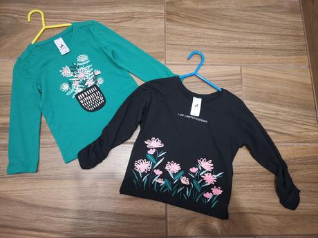 Nenosene, palomino,98