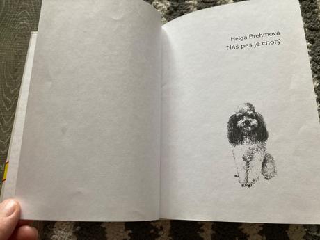 Náš pes je chorý (1999),