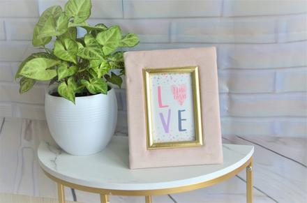 Zamatový fotorámik-ružový, 