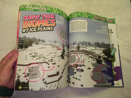 Minecraft 2018 edition, 