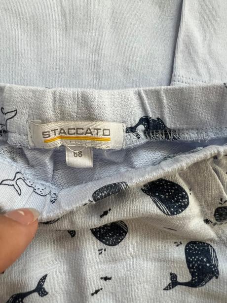 Súprava, staccato,68