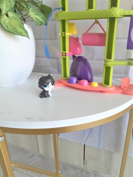 Littlest pet  shop cat, 