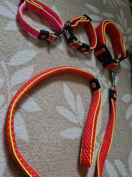 Neon obojok, vodítko,