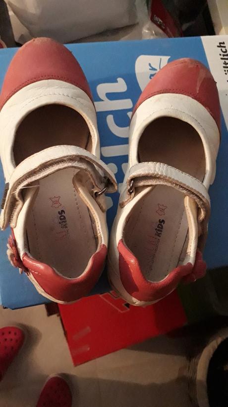 Baleriny lasocki, lasocki,31