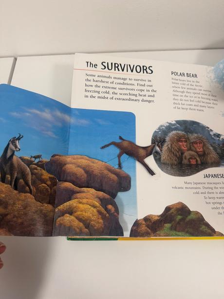 Pop up 3d kniha exreme animals,