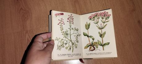 Liečivé rastliny a lesné plody, 