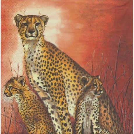 Servítka leopardy 3ks, 