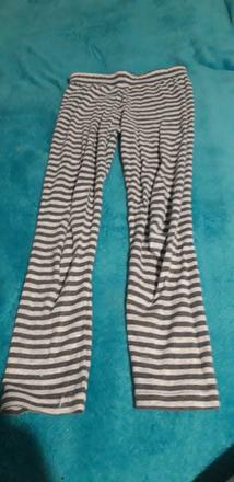 Spodky_p4, palomino,110