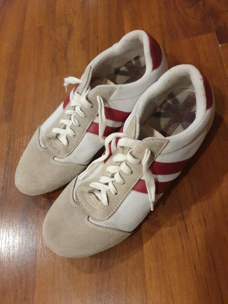 Halovky veľ. 37, 37