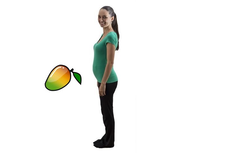 Aké je bábätko veľké v 18. týždni tehotenstva?