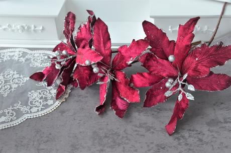 3x vianočná ruža, 