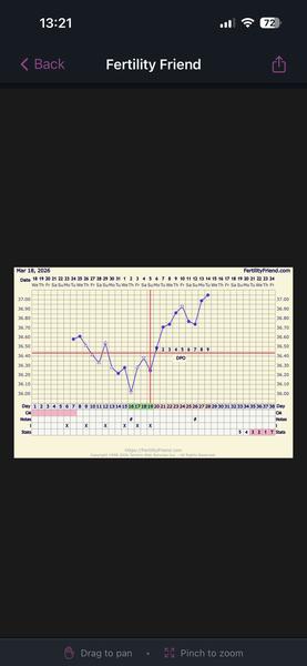 Vyzerá bazálny teplotný graf nádejne na tehotenstvo?