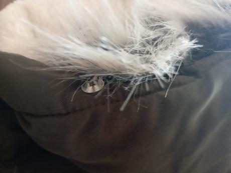 Dievčenská bunda, c&a,176