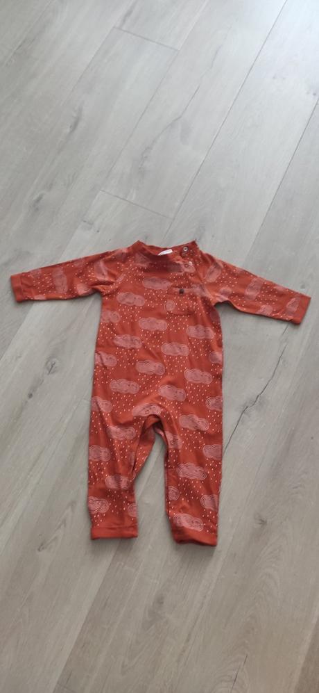 Overal novy, coccodrillo,74