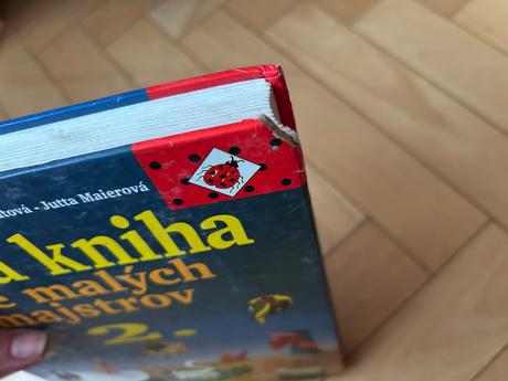 Veľká kniha pre malých majstrov,