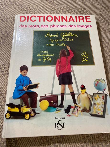 Krásny starý retro slovník učebnica francúzštiny, 