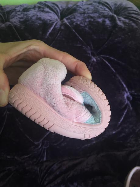 Papucky victoria, 22