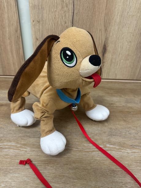 Poskakujúci psík floppy,