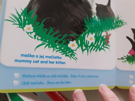 Prvé knižky angličtina 5x, 