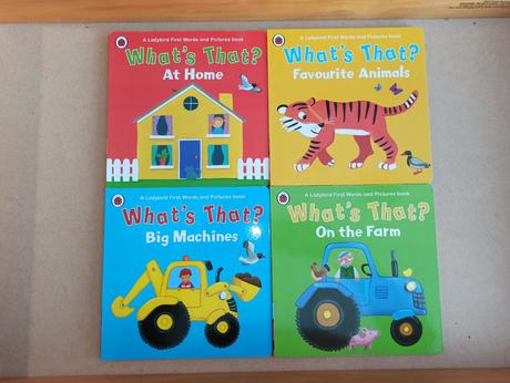 Ladybird first words and pictures leporela, 