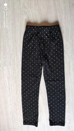 Teplejsie leginy, 110