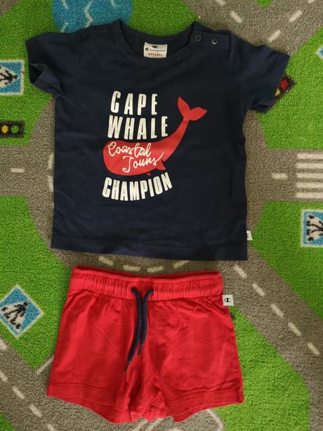 Súprava s rybkou champion, champion,92