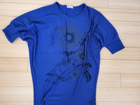 Modre tricko, 