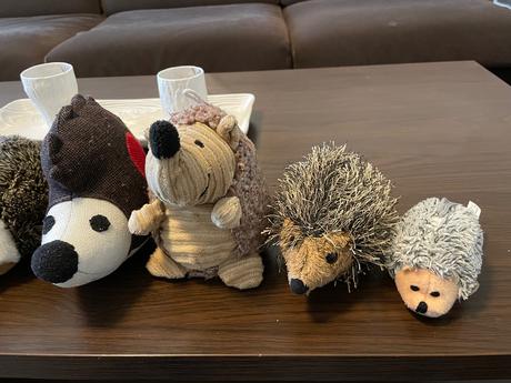 Plyšoví ježkovia, 