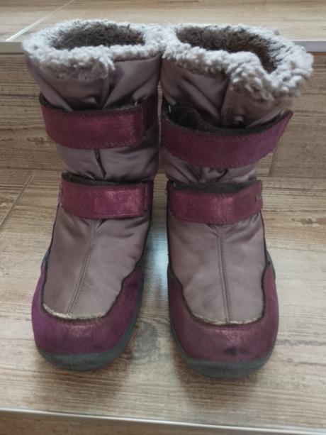 Snehule primigi, primigi,34