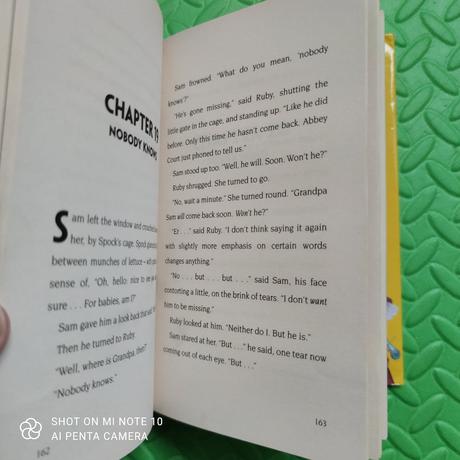 David baddiel birthday boy 400 stran, 