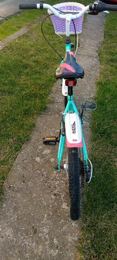 Dievčenský bicykel 20, ctm,20