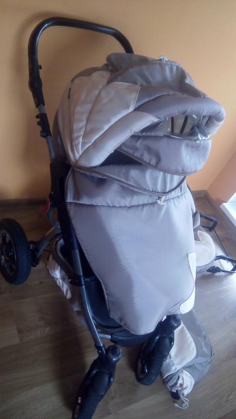 Kočik, tako,tako captiva mohican