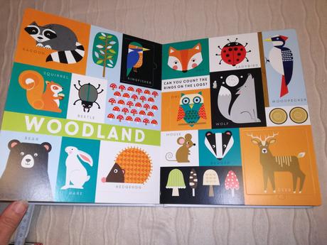 Lift the flap  animals / colours, 