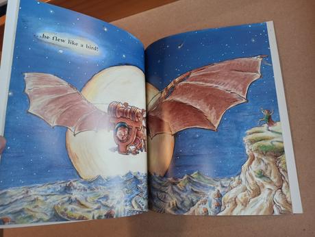 Laurence anholt leonardo and flying boy, 