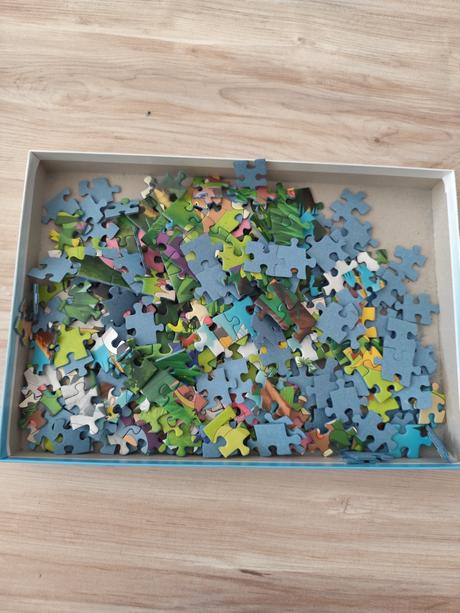 Puzzle pokémon, 