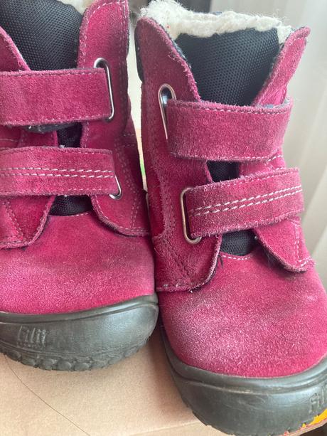 Filii himalaya, filii,25