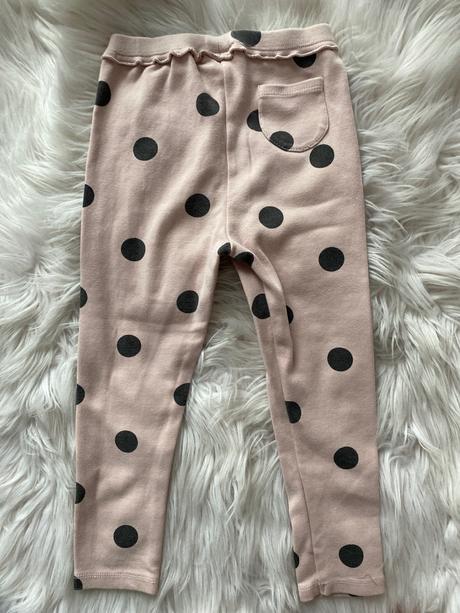 Gulickove leginy zara, 110