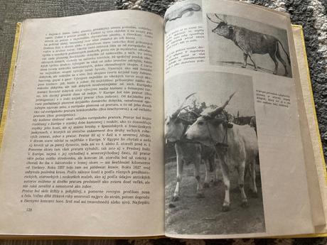 Živé poklady prvé vydanie 1963,