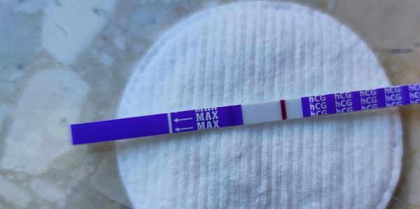 Vidíte niečo na teste?