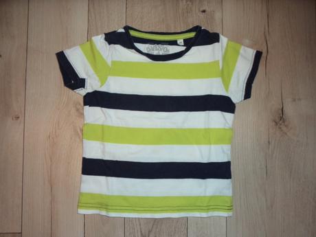 Tričká, palomino,98