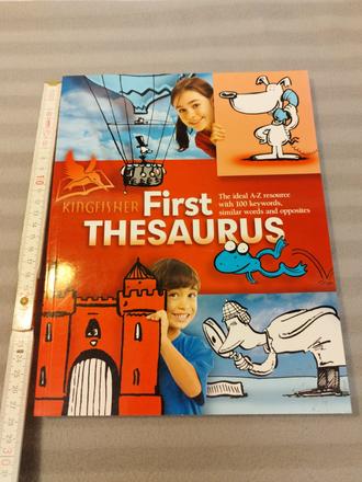 Kingfisher - first thesaurus su23, 