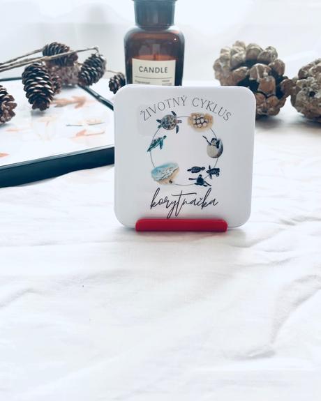 Životný cyklus - slovenské vzdelávacie kartičky,